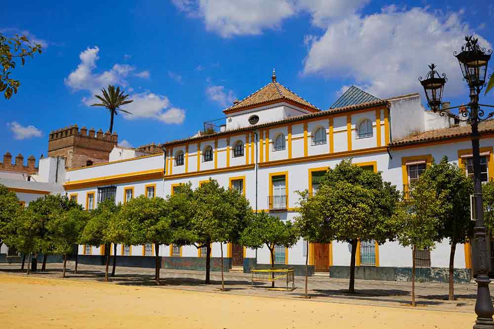 Patio de Banderas Open plaza and range trees at Patio de Banderas