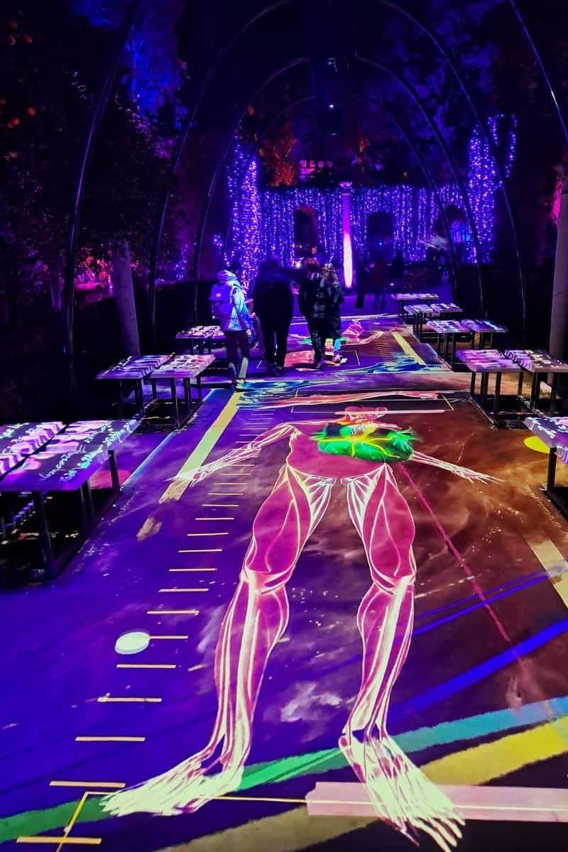 An illuminated walkway at the Real Alcázar during the Naturaleza Encendida light show, with vibrant neon projections on the floor and glowing purple fairy lights creating a tunnel-like effect.